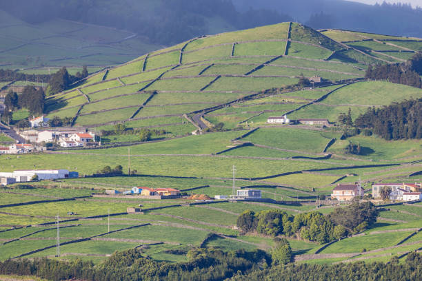 Stone walled pastures on a hill on Terceira Island.