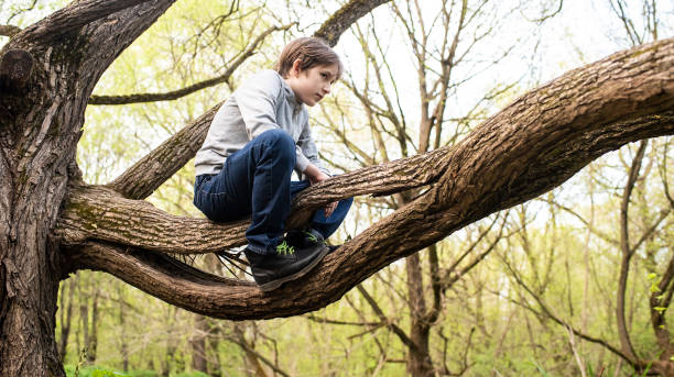 istock 11 year old boy sitting on a tree branch in the park in spring 2154198815