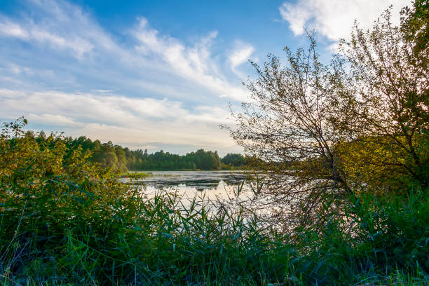 istock Beautiful landscape on a summer day in Latvia. 2154198878