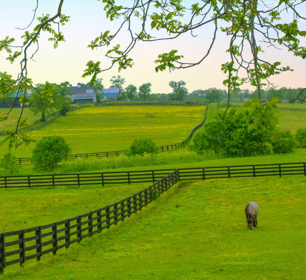 istock Horse Country-Lexington Kentucky 2154200817