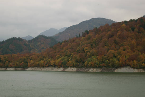 istock Autumn forest by a lake with mountains in the background 2154203674
