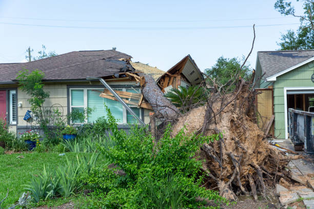 May 19, 2024 - Houston, Texas: Aftermath of a strong wind in Houston, Texas. This tree fell on a house.