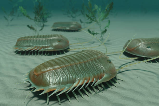 istock Trilobites on the Seafloor 2154205596