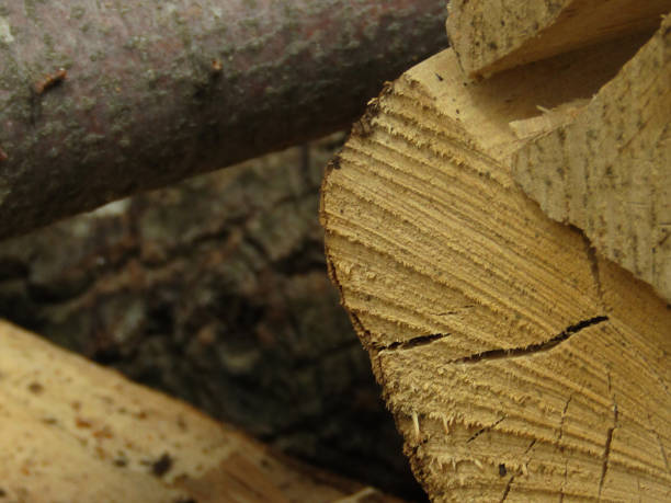 istock Super close-up wood and wood pieces 2154205786