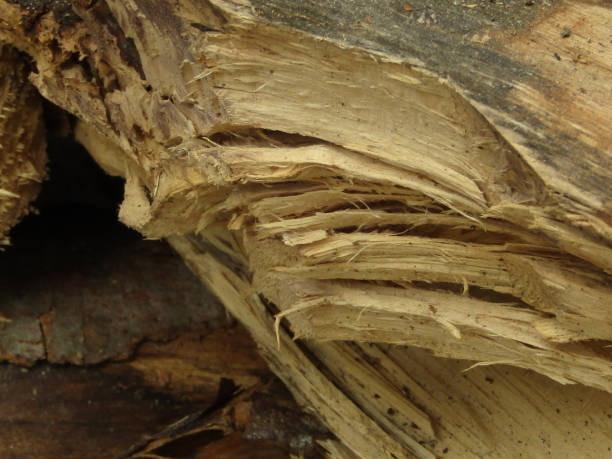 istock Super close-up wood and wood pieces 2154206740