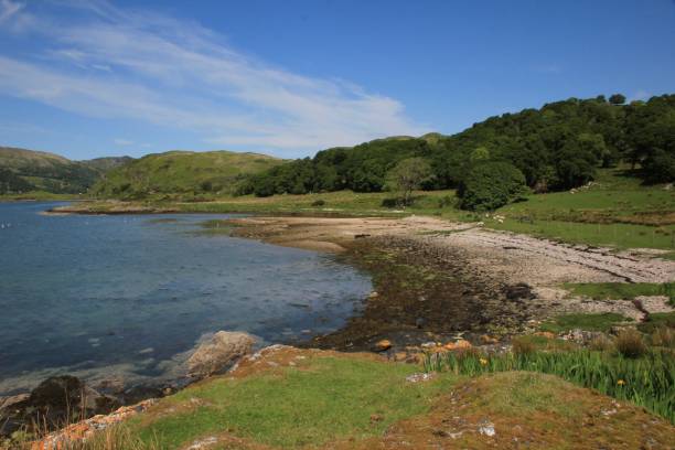 istock Wilds of Bute 2154210214