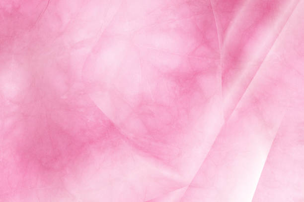 A close-up macro view of a petal from a pink flower, highlighting its intricate textures and vibrant color. This image portrays floral beauty and organic detail, useful for nature and botanical concepts.