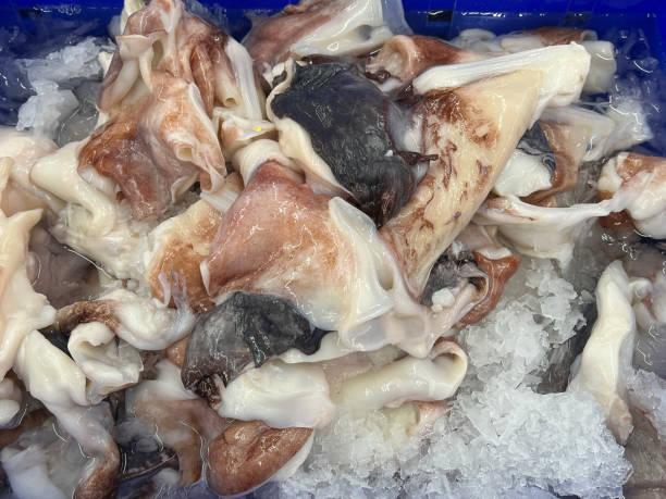 istock raw octopus in the market 2154211949