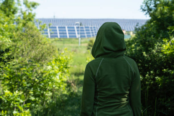 Solar farm in nature. Ecological concept of sustainable energy.