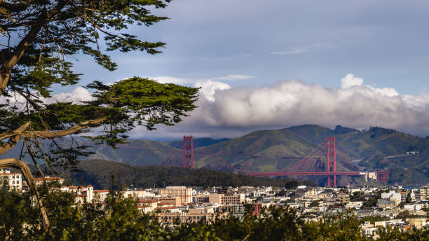 istock Golden Gate Bridge from Buena Vista Park. 2154214830