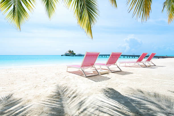 Sunny tropical beach with sunloungers