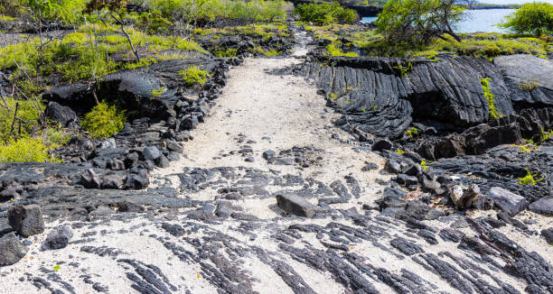 istock The 1871 Trail Along Alahaka Bay 2154226913
