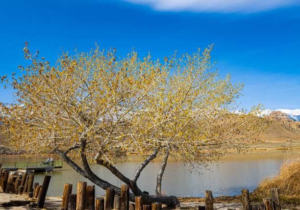 Reflections of The Foothills and The Sierra Nevada Mountain Range on Diaz Lake, Lone Pine, California, USA