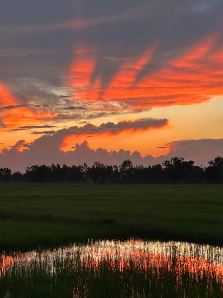 istock Village view in morning 2154231485