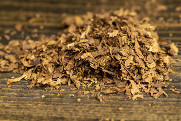 istock a cigar broken into tobacco leaves on the table 2154233413