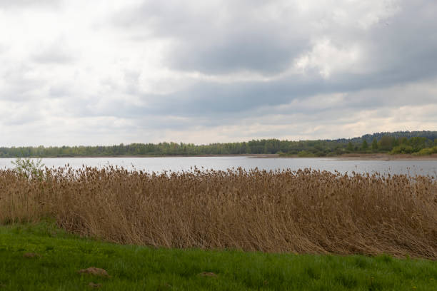 A quiet peninsula juts into Lake Stackie, framed by fields, forests, and reeds under a soft spring sky, capturing the peaceful rhythm of Poland’s rural landscape.