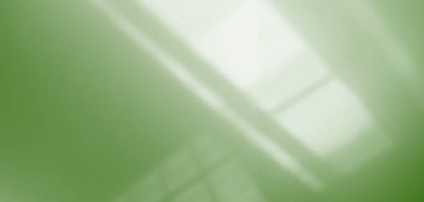istock Green Shadow Abstract Background Overlay Leaf Natural blur Cement Wall Floor Beige Mockup Product Cosmetic Summer Tropical Nature Presentation Frame Template Eco Backdrop Environment Platform. 2154239285