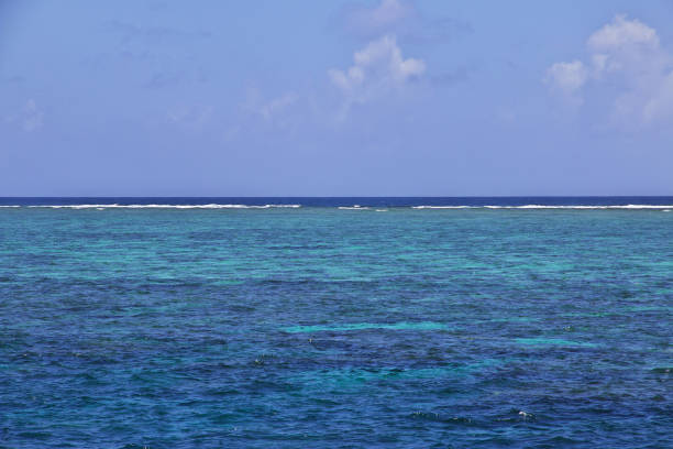 Snorkeling on the Great Barrier Reef, Australia