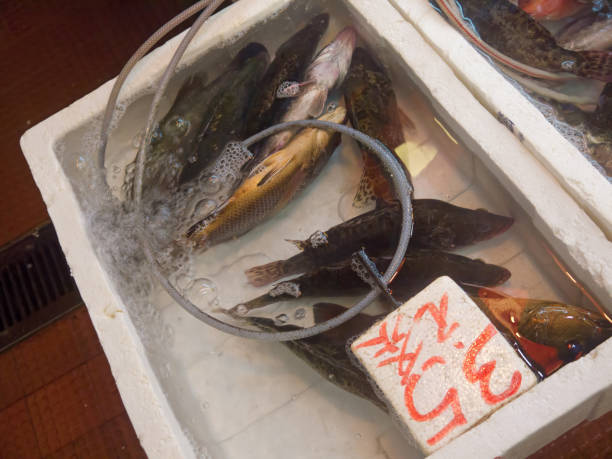 istock Mandarin fish or on Hong Kong market 2154242329