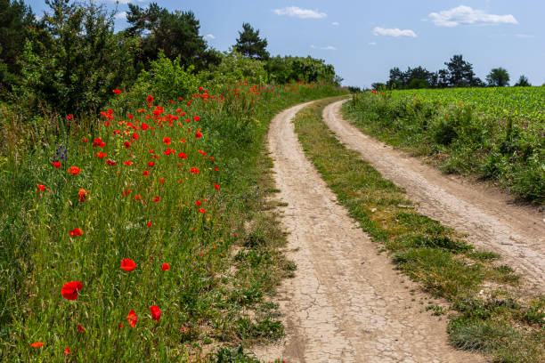 istock dirty broken rural road with deep tire tracks 2154243694
