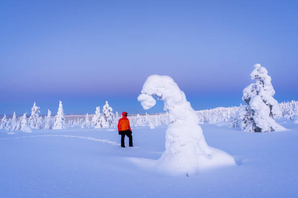 Hiker walks in deep snow among snowy sculptures in Finland, Scandinavia