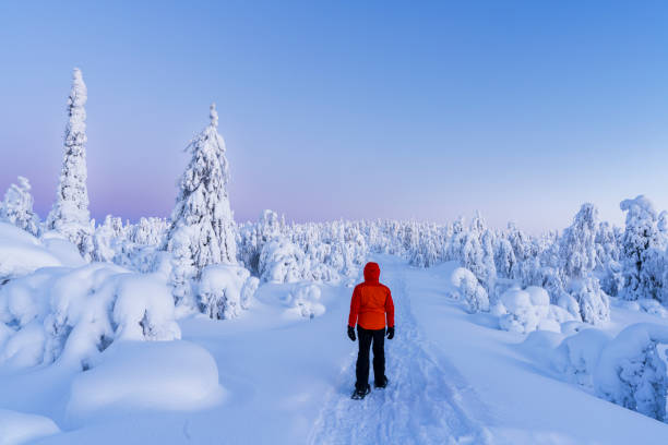 istock Tourist snowshoeing in the arctic landscape 2154245978