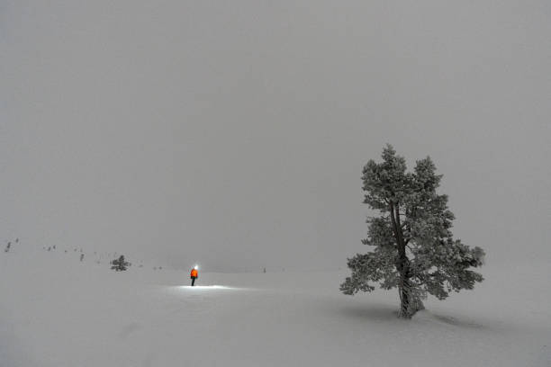 Hiker with snow shoes and head lamp walking in the forest covered with snow in a foggy day, Muonio, Finnish Lapland, Scandinavia, Europe
