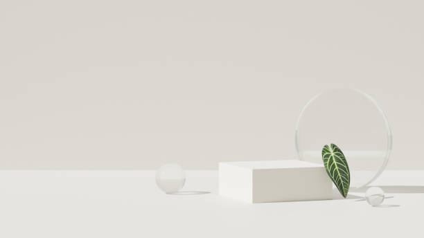istock Background white 3d rendering natural backdrop and leaf anthurium warocqueanum with bright lighting for showcasing cosmetic products in landscape 2154246597