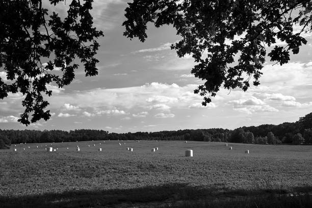 istock agricultural landscape with stubble, straw bales and trees during summer 2154246833