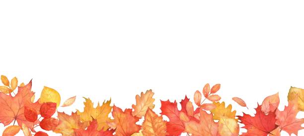 istock Autumn blur falling leaves border. Autumnal foliage fall and orange maple leaves 2154247923