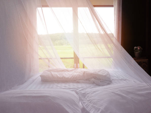 istock White mosquito net and bed with pillowsin vintage bedroom 2154254917