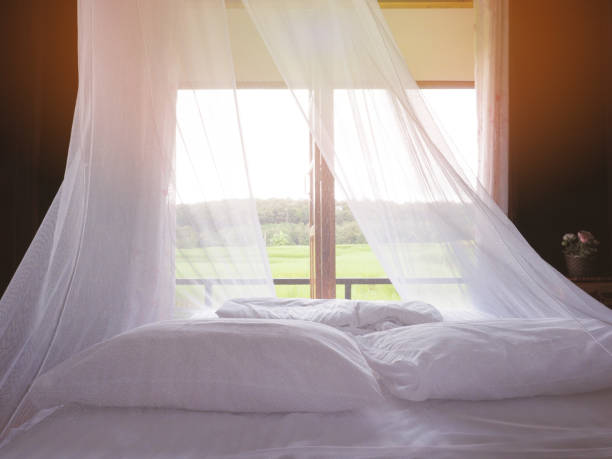 istock White mosquito net and bed with pillowsin vintage bedroom 2154254925