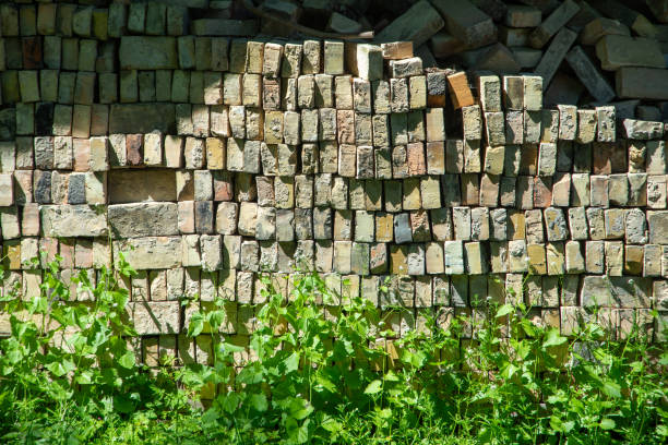 background of stapled old historic vintage bricks for a wall with weed
