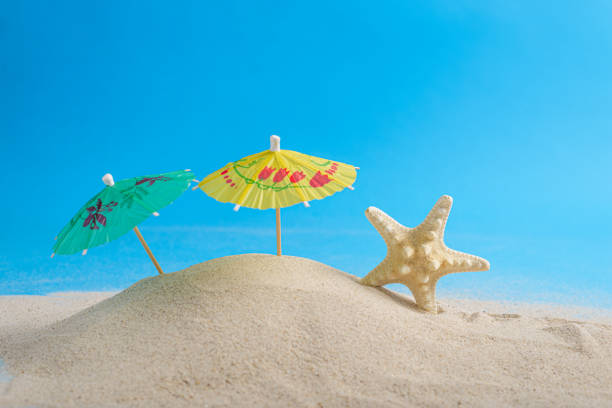 istock Starfish skeletons and cocktail umbrellas on beach sand with blue background. Summer background with space for text. 2154258785