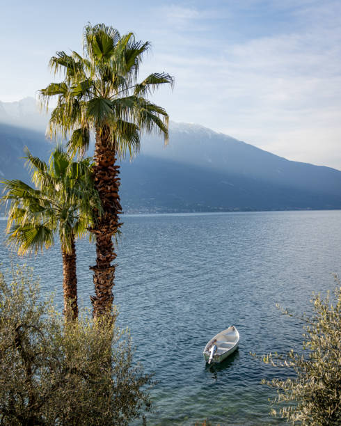 istock Sunrise Serenity: Lake Garda with Palm Tree and Boat 2154261890