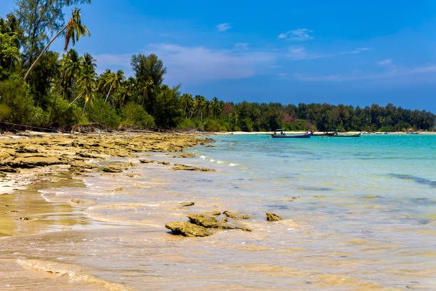 istock Rocky coastline and palm trees next to a tropical ocean 2154263597