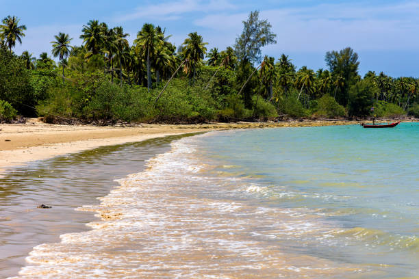 istock Beautiful tropical beach fringed with palm trees 2154263610