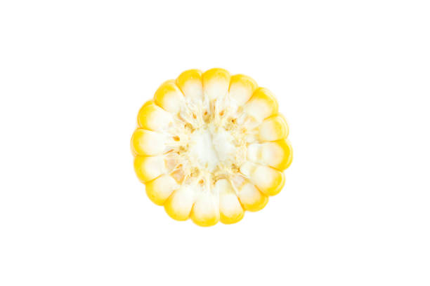 istock Yellow corn cob isolated on white background, Corn sliced, Sweet corn 2154264523