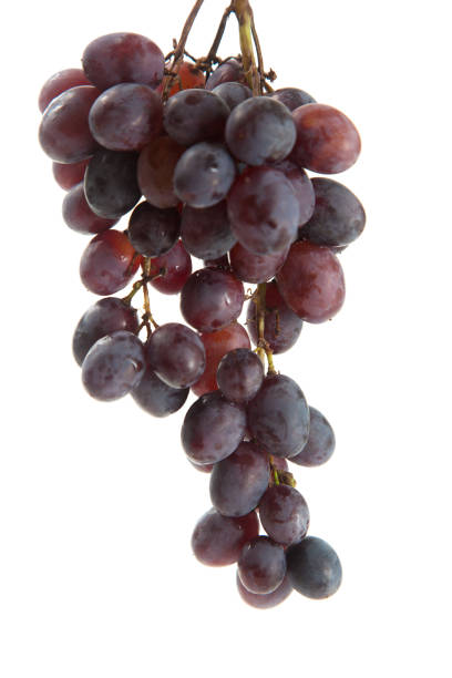 istock Bunch of organic black grapes isolated on white background 2154266210