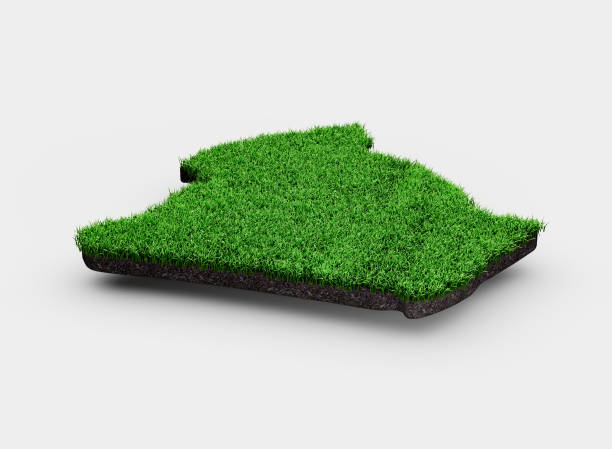 istock Algeria Map Soil Land Geology Cross Section Green Grass And Rock Ground Texture 3d Illustration 2154266994