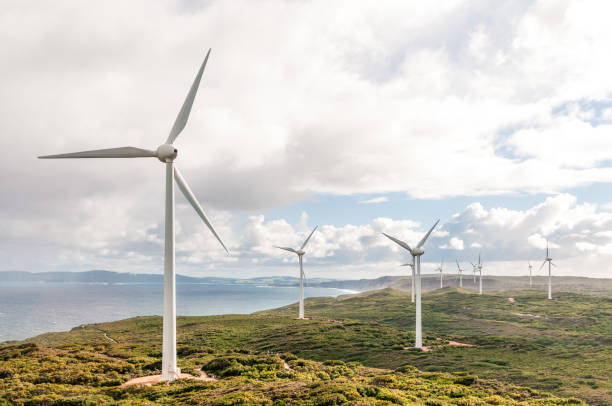 Wind turbines located near the sea at Albany Wind Farm in Western Australia.