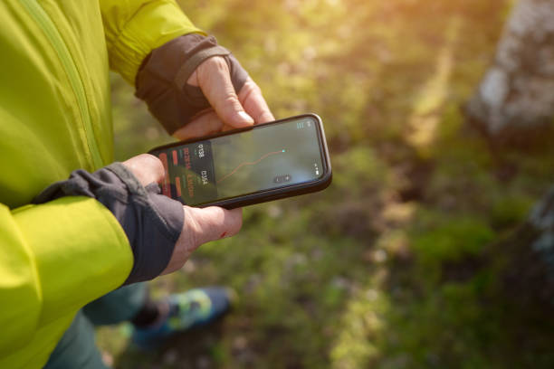 Hiker in the woods in the morning checking navigation on a smartphone