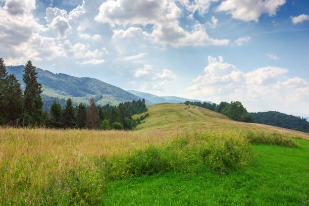 istock countryside scenery with meadow in mountains 2154275722