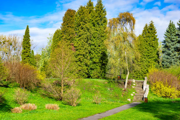 park in Chorzow on a sunny day