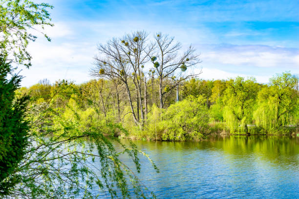 park in Chorzow on a sunny day