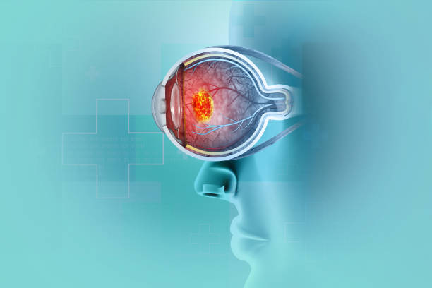 Isolated Detailed Brown Human Eye