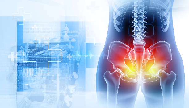 istock Painful Hip skeleton, x-ray view, Medical concept. 3d illustration 2154279746