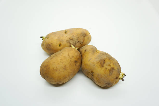 istock Three potatoes are sitting on a white background 2154279835