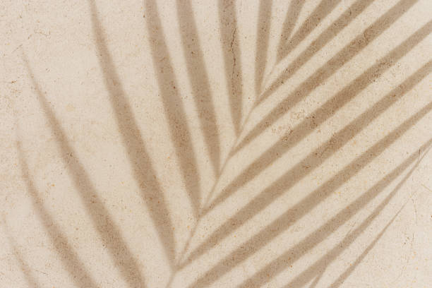 istock Summer minimal style background with shadow from natural palm leaf on light beige concrete background, hard light, copy space. Pastel colored aesthetic photo with palm shadows at sunlight. 2154286177