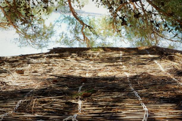roof of the straw in some sunshine day